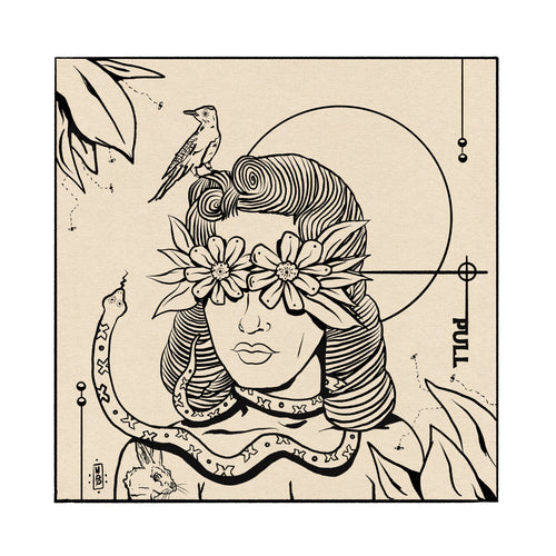 Veil Of Perception - Pop Americana 
