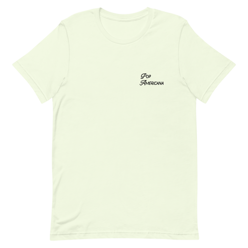 This Land Is Your Land t-shirt - Pop Americana 