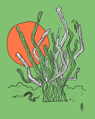 Desert Sun (Hopnonymous) - Pop Americana 